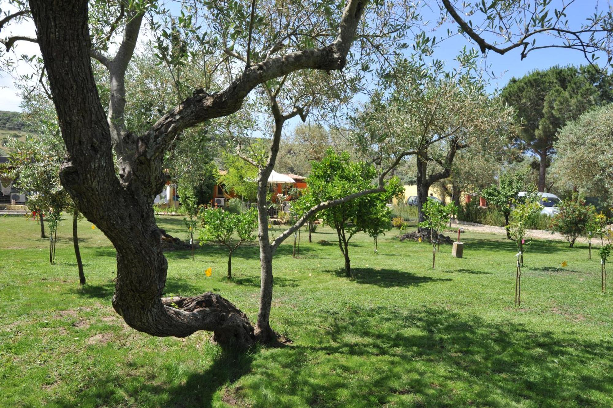 Butterfly House Bed & Breakfast Альгеро Екстер'єр фото