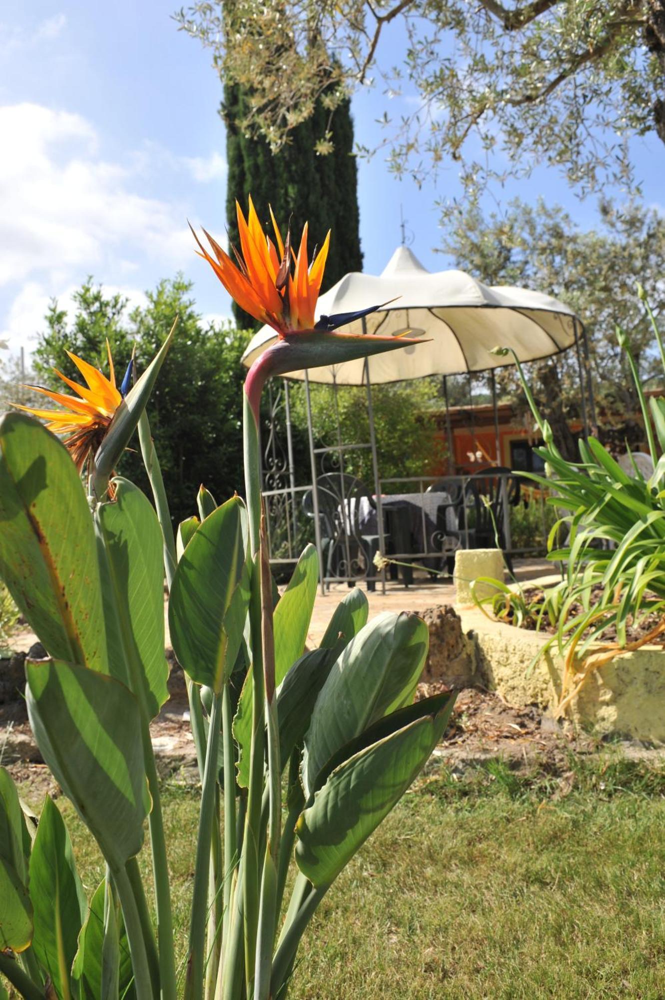 Butterfly House Bed & Breakfast Альгеро Екстер'єр фото